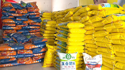 嚴(yán)查假種子、假肥料&hellip;德州各地開展農(nóng)資市場(chǎng)專項(xiàng)檢查,為春耕生產(chǎn)保駕護(hù)航