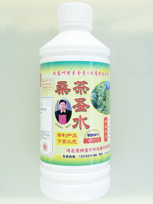 綠圣葉面肥助力桑茶高產優(yōu)質——河北綠圣生物科技廠家直供