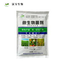 2021年微生物肥料市場(chǎng)行情深度解析 價(jià)格、報(bào)價(jià)與批發(fā)渠道探秘