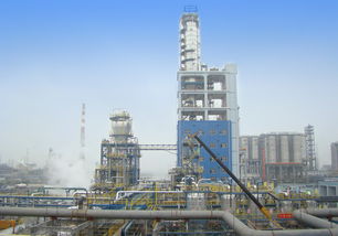 引領(lǐng)未來(lái) 鎮(zhèn)海煉化百萬(wàn)噸乙烯項(xiàng)目聚乙烯裝置的技術(shù)革新與產(chǎn)業(yè)價(jià)值