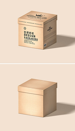 2022年最新紙板產(chǎn)品展示樣機(jī)素材 創(chuàng)意、實(shí)用與設(shè)計靈感的完美融合